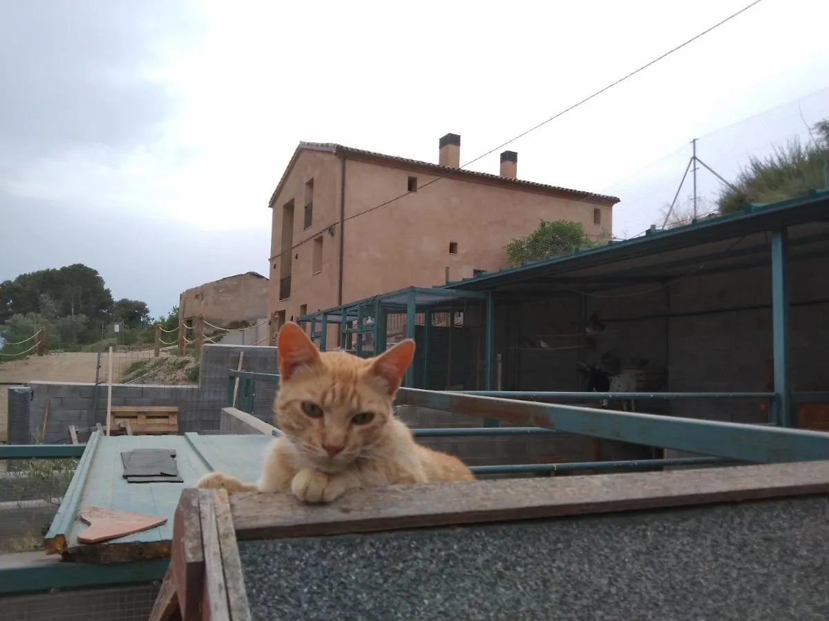 Holiday home El Niu De L'Estany Villa Ivars d'Urgell